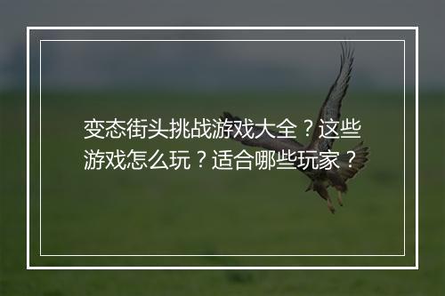 变态街头挑战游戏大全?这些游戏怎么玩?适合哪些玩家?