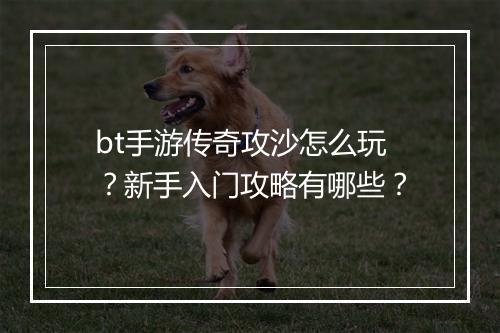 bt手游传奇攻沙怎么玩?新手入门攻略有哪些?
