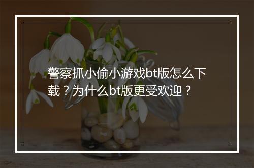 警察抓小偷小游戏bt版怎么下载？为什么bt版更受欢迎？