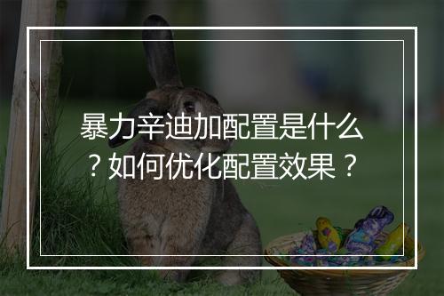 暴力辛迪加配置是什么?如何优化配置效果?
