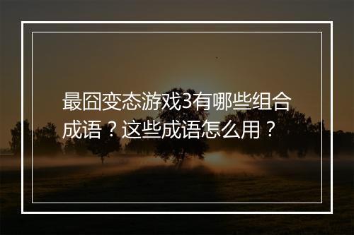 最囧变态游戏3有哪些组合成语?这些成语怎么用?