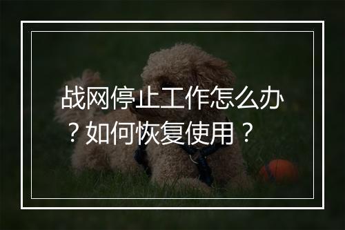 战网停止工作怎么办?如何恢复使用?
