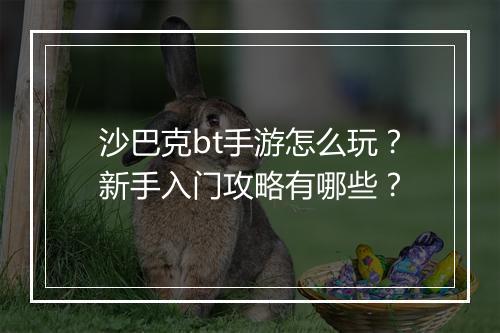 沙巴克bt手游怎么玩?新手入门攻略有哪些?