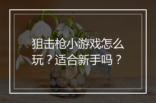狙击枪小游戏怎么玩？适合新手吗？
