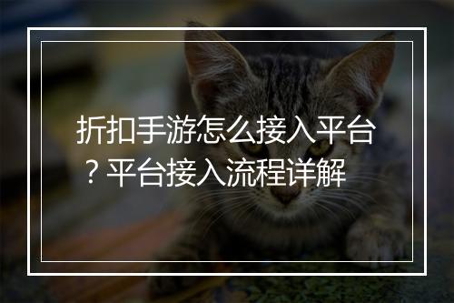 折扣手游怎么接入平台?平台接入流程详解