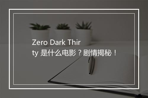 Zero Dark Thirty 是什么电影?剧情揭秘!