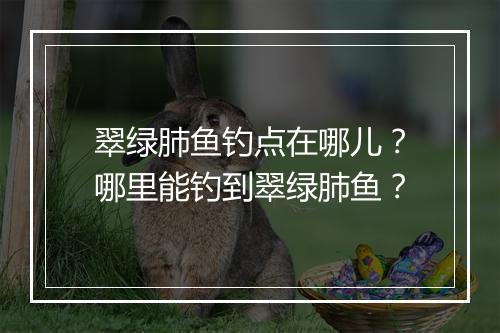 翠绿肺鱼钓点在哪儿?哪里能钓到翠绿肺鱼?