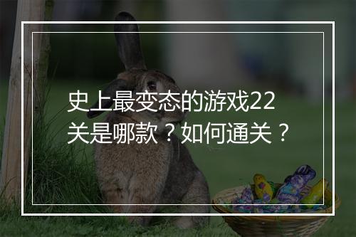 史上最变态的游戏22关是哪款?如何通关?
