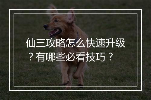 仙三攻略怎么快速升级?有哪些必看技巧?