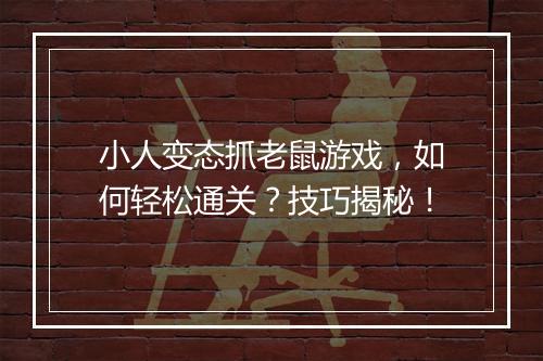 小人变态抓老鼠游戏,如何轻松通关?技巧揭秘!