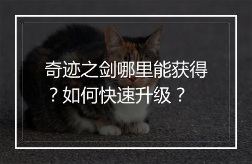 奇迹之剑哪里能获得?如何快速升级?