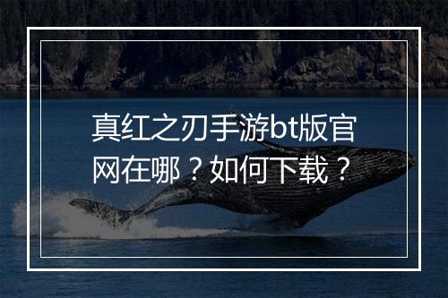 真红之刃手游bt版官网在哪?如何下载?