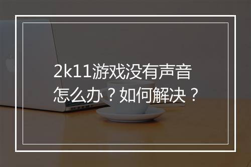 2k11游戏没有声音怎么办?如何解决?