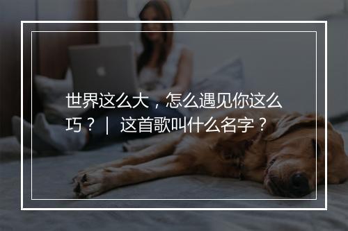 世界这么大,怎么遇见你这么巧?| 这首歌叫什么名字?