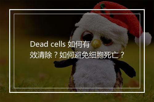 Dead cells 如何有效清除?如何避免细胞死亡?