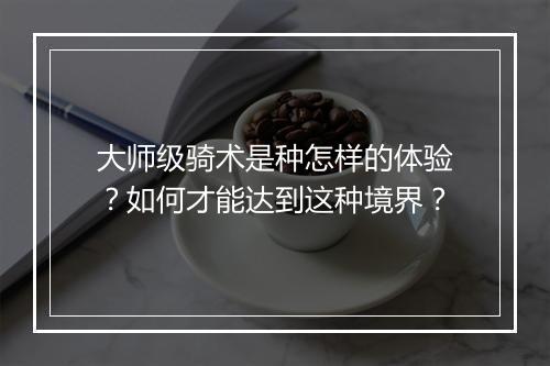 大师级骑术是种怎样的体验？如何才能达到这种境界？