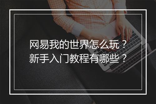 网易我的世界怎么玩?新手入门教程有哪些?