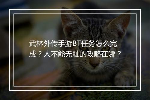 武林外传手游BT任务怎么完成？人不能无耻的攻略在哪？