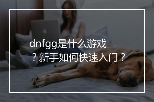 dnfgg是什么游戏？新手如何快速入门？