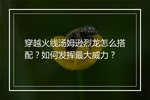 穿越火线汤姆逊烈龙怎么搭配？如何发挥最大威力？