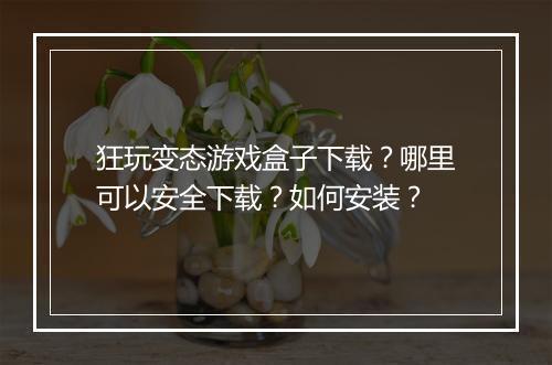 狂玩变态游戏盒子下载？哪里可以安全下载？如何安装？