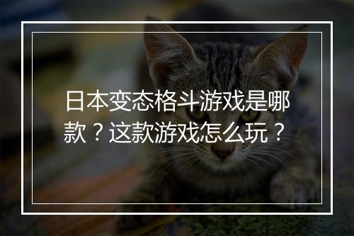 日本变态格斗游戏是哪款？这款游戏怎么玩？