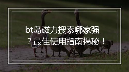 bt岛磁力搜索哪家强?最佳使用指南揭秘!