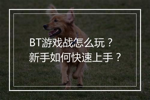 BT游戏战怎么玩？新手如何快速上手？
