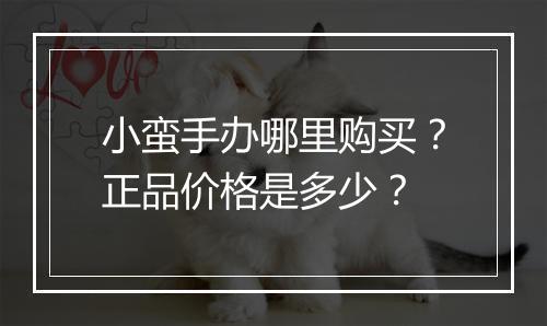 小蛮手办哪里购买？正品价格是多少？