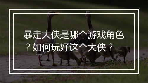 暴走大侠是哪个游戏角色？如何玩好这个大侠？