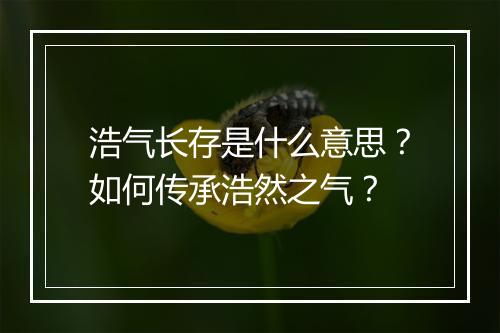 浩气长存是什么意思？如何传承浩然之气？
