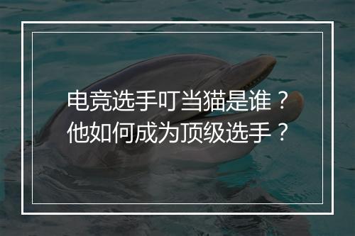 电竞选手叮当猫是谁？他如何成为顶级选手？