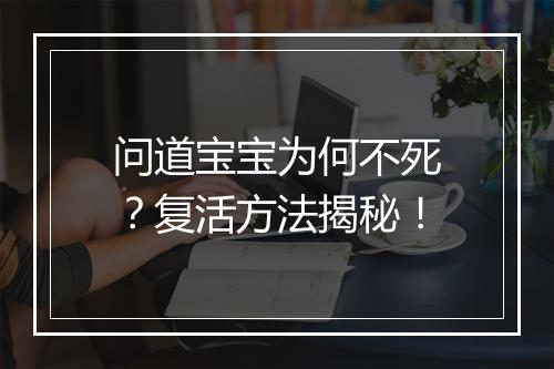 问道宝宝为何不死？复活方法揭秘！