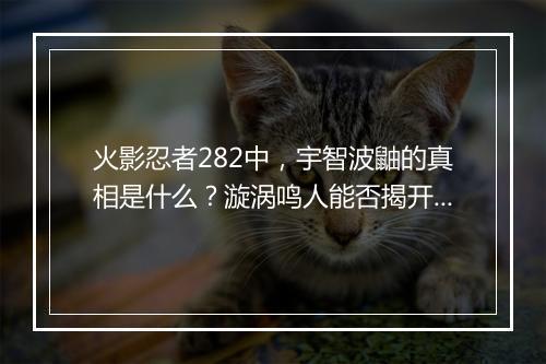 火影忍者282中,宇智波鼬的真相是什么?漩涡鸣人能否揭开?