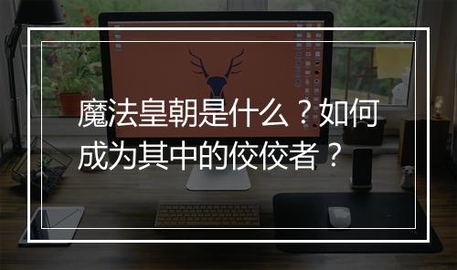 魔法皇朝是什么?如何成为其中的佼佼者?