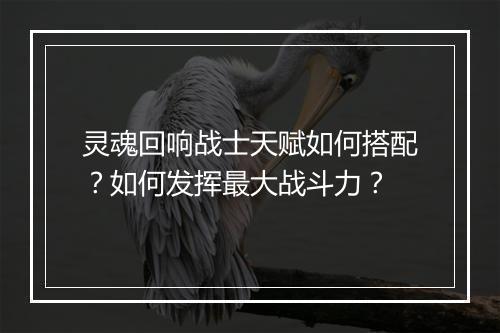 灵魂回响战士天赋如何搭配？如何发挥最大战斗力？