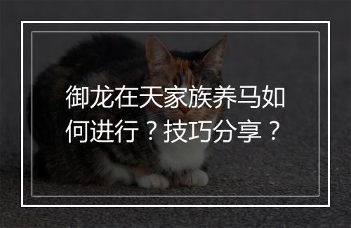 御龙在天家族养马如何进行?技巧分享?