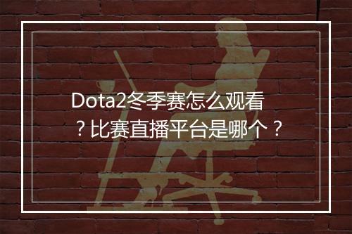 Dota2冬季赛怎么观看？比赛直播平台是哪个？