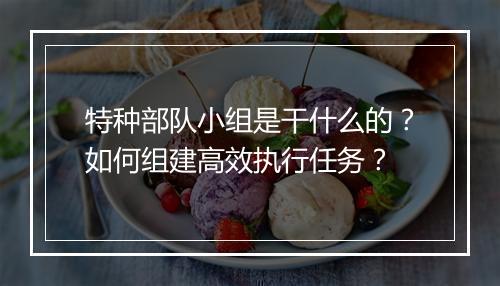特种部队小组是干什么的？如何组建高效执行任务？