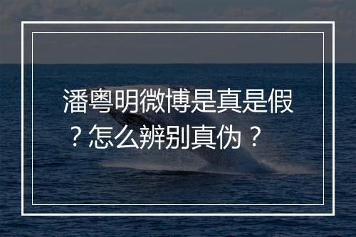 潘粤明微博是真是假?怎么辨别真伪?