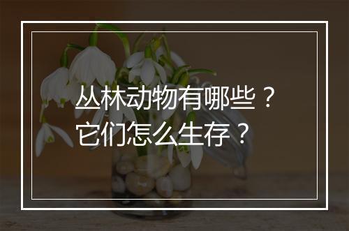 丛林动物有哪些？它们怎么生存？