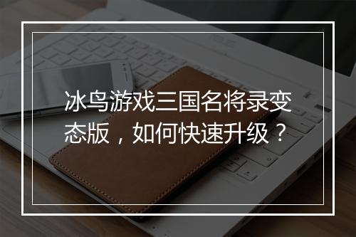 冰鸟游戏三国名将录变态版,如何快速升级?