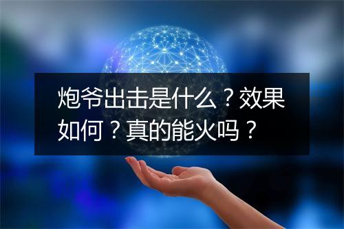炮爷出击是什么?效果如何?真的能火吗?
