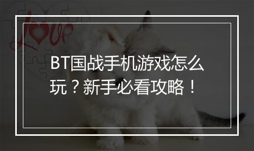BT国战手机游戏怎么玩？新手必看攻略！