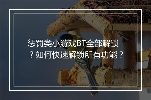 惩罚类小游戏BT全部解锁？如何快速解锁所有功能？
