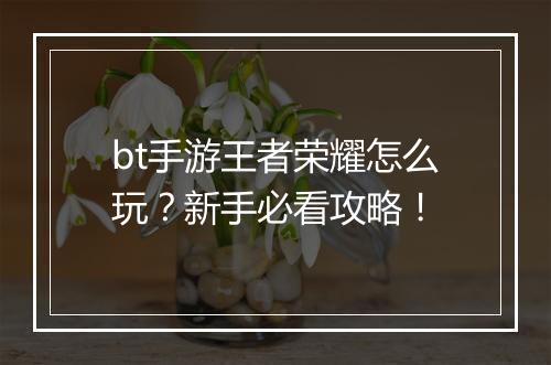 bt手游王者荣耀怎么玩?新手必看攻略!