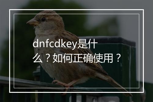 dnfcdkey是什么？如何正确使用？