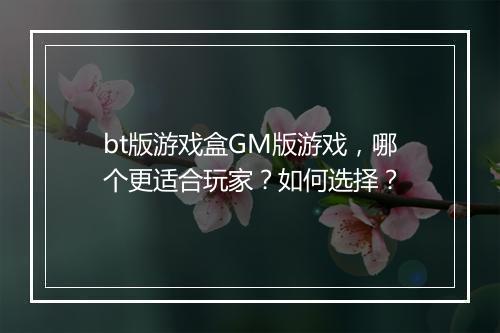 bt版游戏盒GM版游戏,哪个更适合玩家?如何选择?