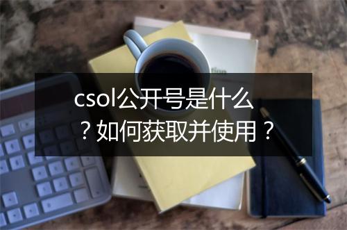 csol公开号是什么?如何获取并使用?