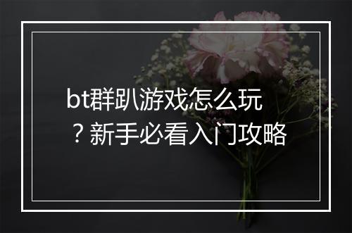bt群趴游戏怎么玩？新手必看入门攻略
